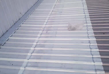 roof-painting